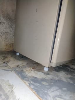 Foto compartilhada junto à avaliação deste produto em plataforma externa